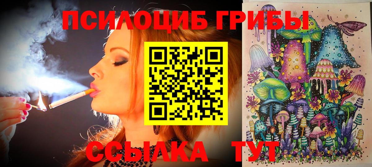 Воскресенск  Псилоцибиновые грибы Psilocybe  Вход с VPN 